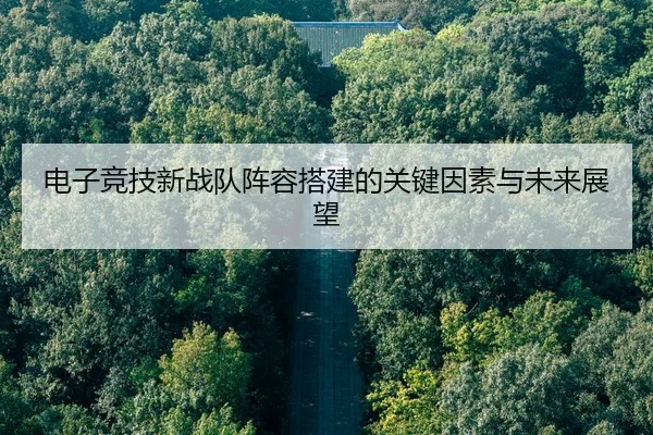 电子竞技新战队阵容搭建的关键因素与未来展望